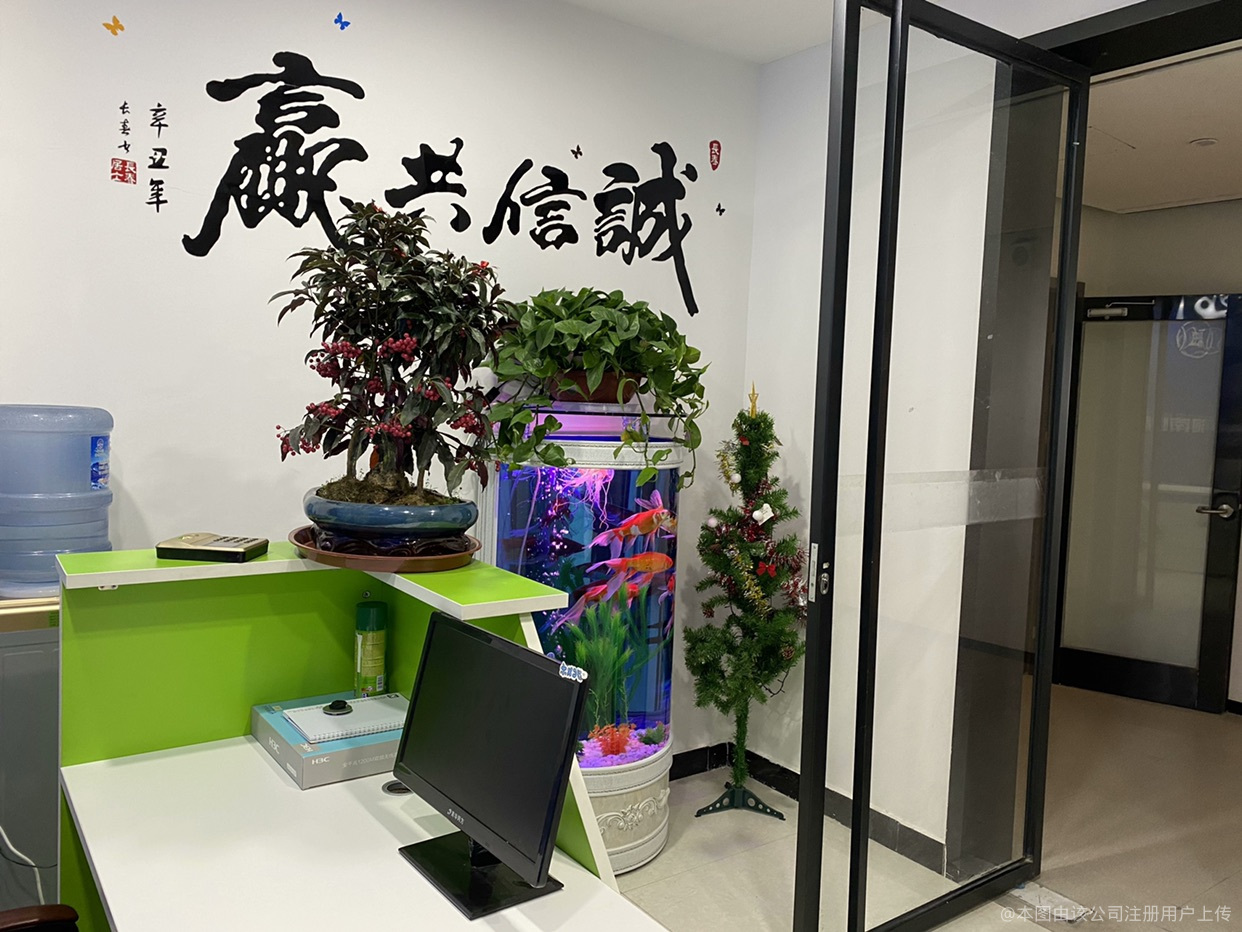 鸿社网络科技